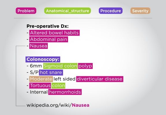 Clinical Named Entity Recognition (NER)