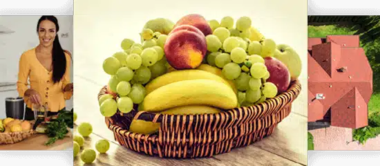 Image data collection