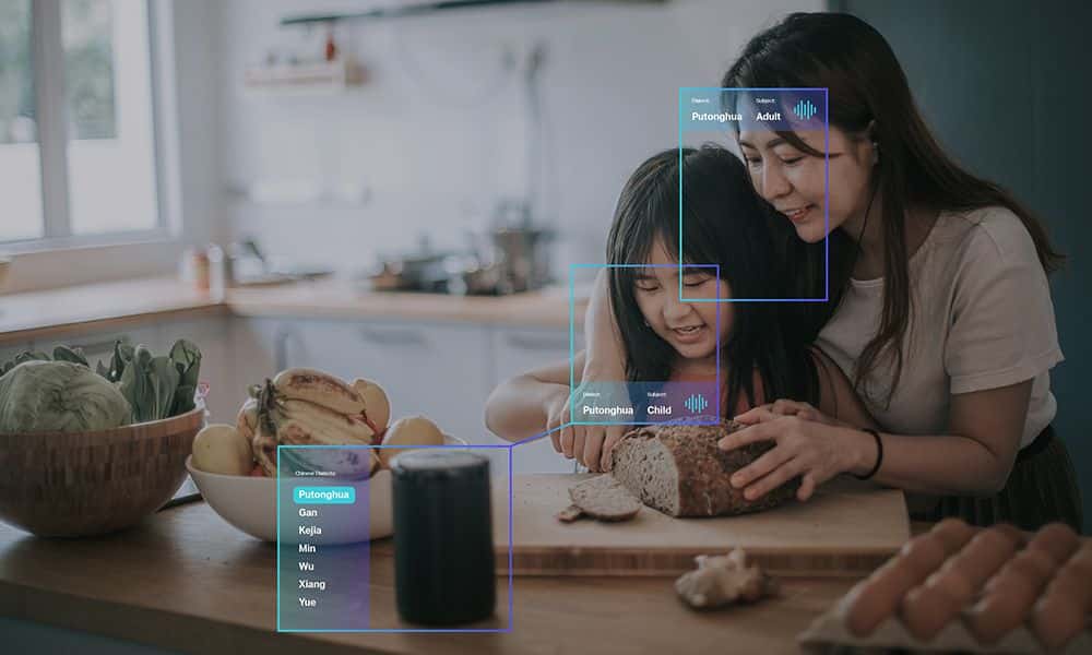 Data annotation and data labeling