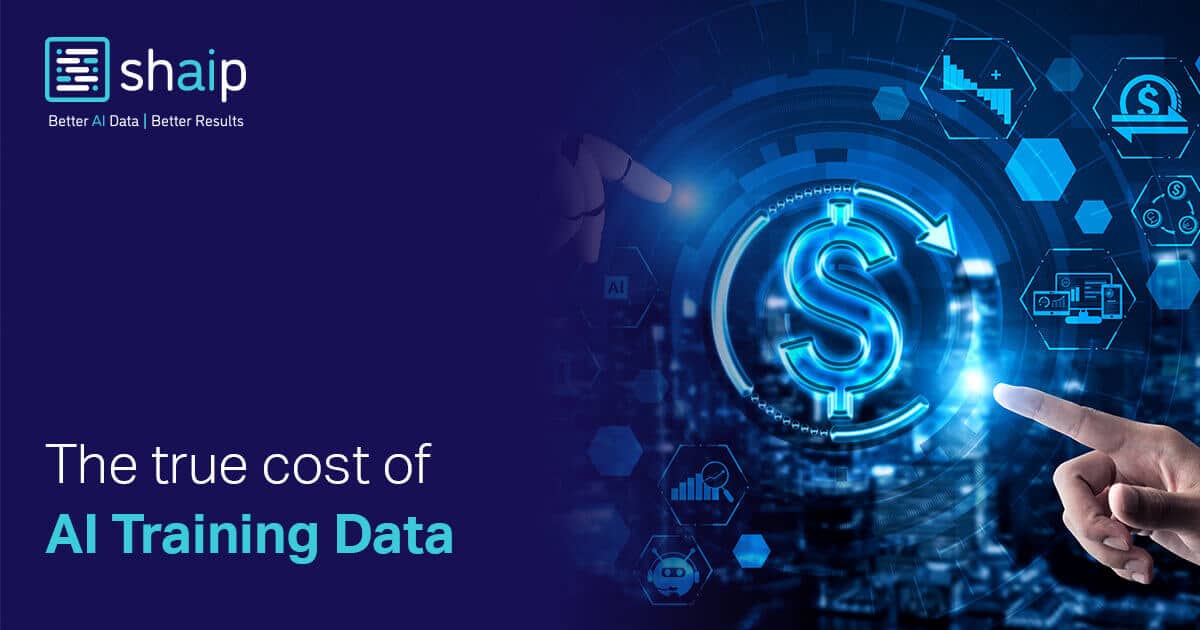 The True Cost of AI Training Data: How to Budget Effectively for High-Quality Datasets