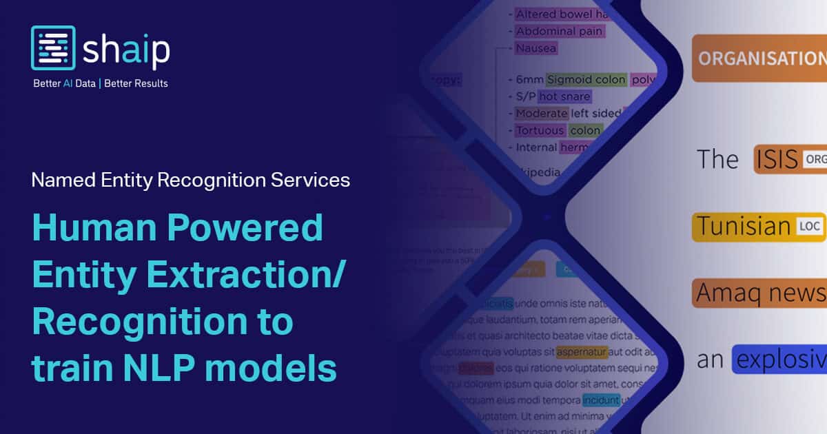 NER Annotation Services | Named Entity Recognition in NLP