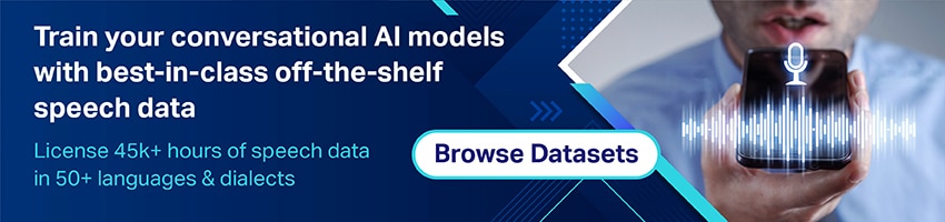 Conversational ai dataset