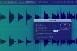 Metadata information capturing