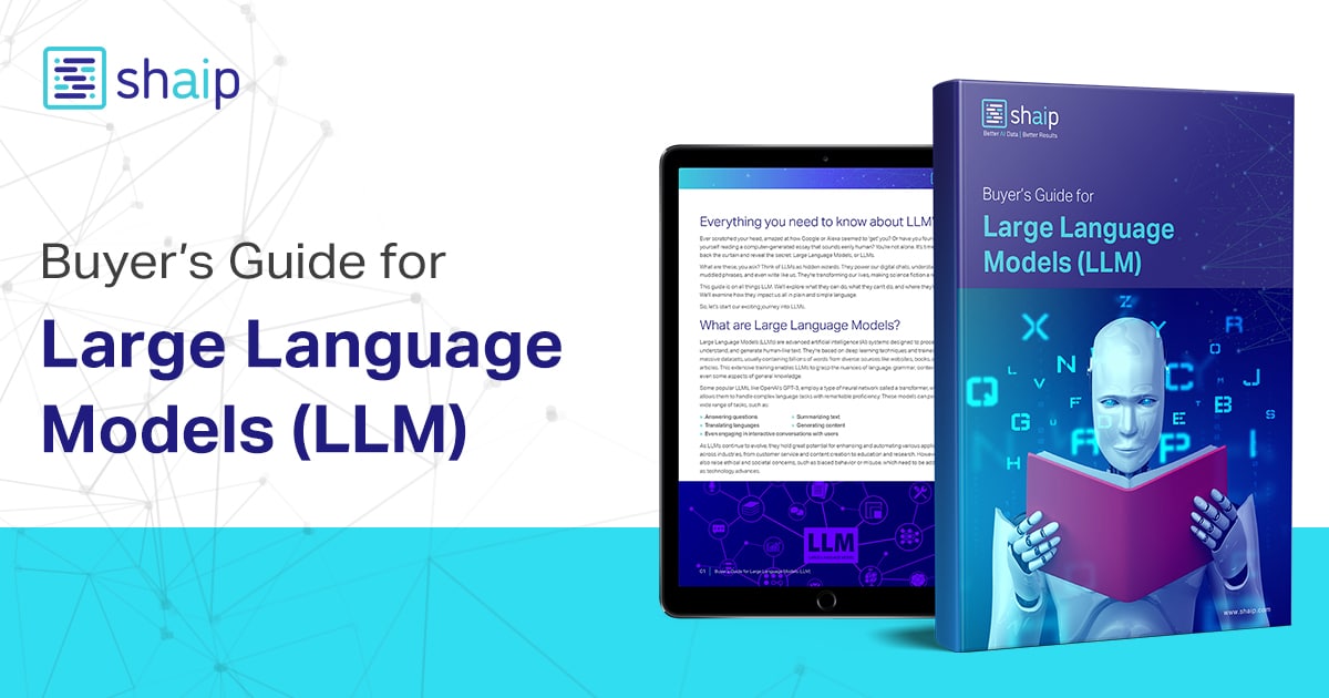 Buyer’s guide large language model (llm)