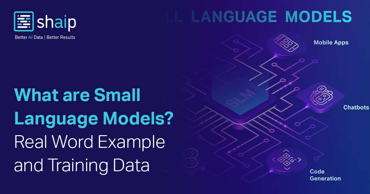 What Are Small Language Models? Real Word Example and Training Data