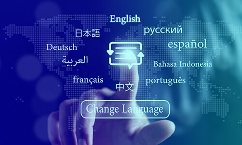 Multilingual model support