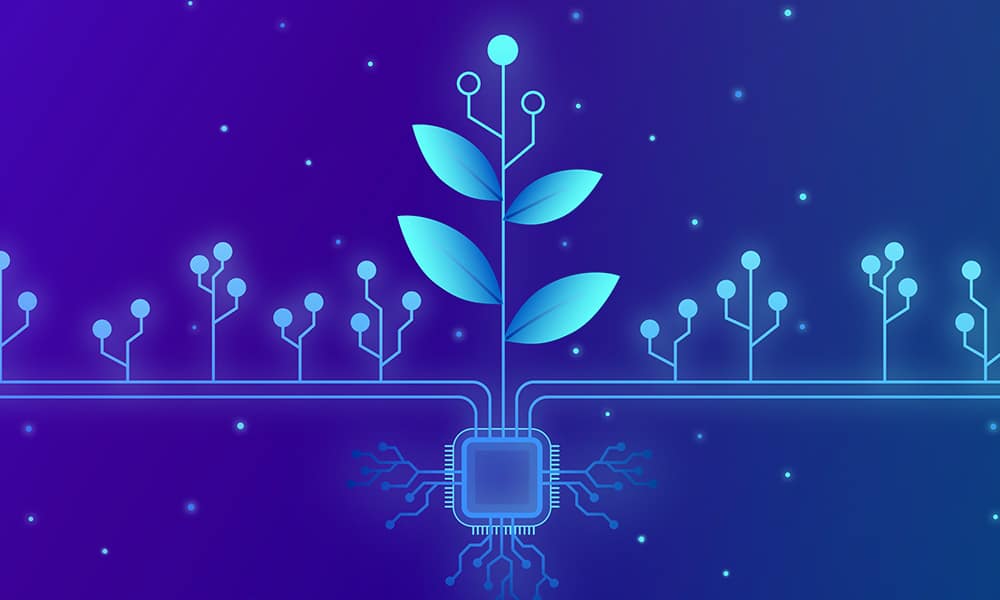 Grounding AI
